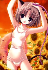 BUY NEW tinkerbell - 150975 Premium Anime Print Poster